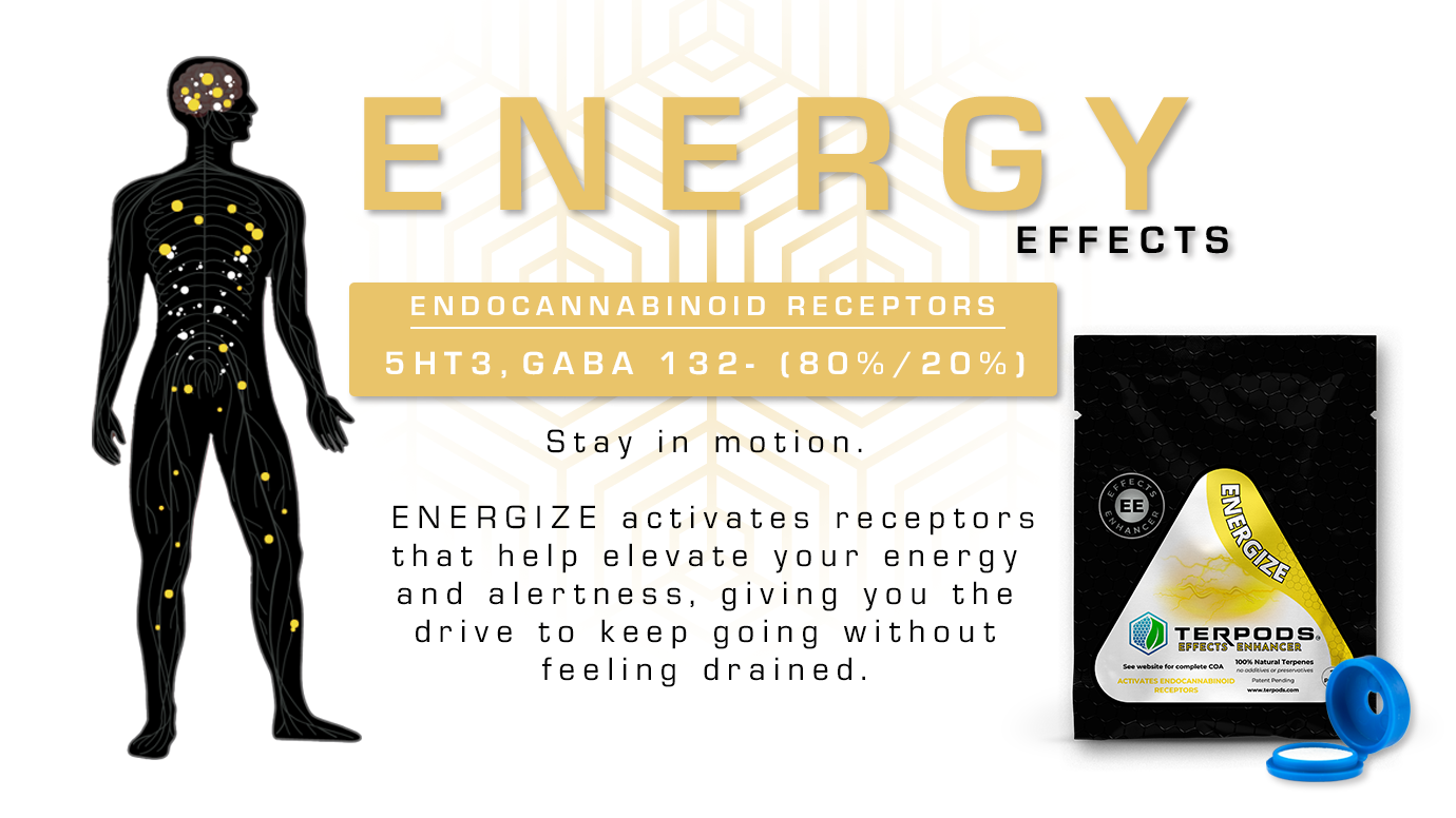 EnergyReceptorMapREDUX2