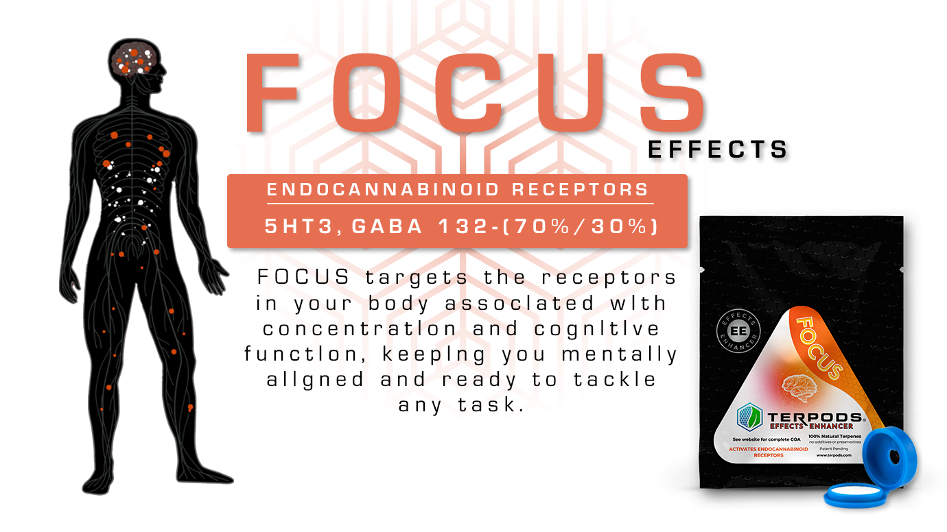 FocusReceptorMapREDUX5